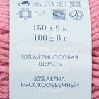 Пряжа "Зимняя премьера" 50%меринос.шерсть, 50% акрил объёмный 150м/100гр (266-Ликёр) - Фото 3