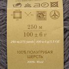 Пряжа "Деревенская" 100% полугрубая шерсть 250м/100гр  (393-Св.моренго) - Фото 3