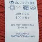 Пряжа "Зимняя премьера" 50%меринос.шерсть, 50% акрил объёмный 150м/100гр (787-Марсала) - Фото 3