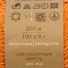 Пряжа "Деревенская" 100% полугрубая шерсть 250м/100гр (340-Листопад) - Фото 3