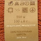 Пряжа "Деревенская" 100% полугрубая шерсть 250м/100гр (375-Черепица) - Фото 3