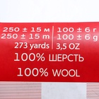 Пряжа для вязания спицами, крючком «Пехорский текстиль. Деревенская», 100% шерсть, 250 м/100 г, 02 чёрный - Фото 3