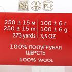 Пряжа для вязания спицами, крючком «Пехорский текстиль. Деревенская», 100% шерсть, 250 м/100 г, 02 чёрный - Фото 6