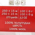 Пряжа для вязания спицами, крючком «Пехорский текстиль. Деревенская», 100% шерсть, 250 м/100 г, 02 чёрный - Фото 7