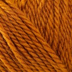 Пряжа для вязания спицами, крючком «Пехорский текстиль. Мериносовая», 50% мериносовая шерсть, 50% акрил, 200 м/100 г, (447 горчица) - Фото 4
