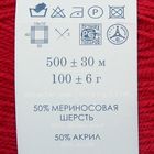 Пряжа "Кроссбред Бразилии" 50%меринос.шерсть, 50% акрил 500м/100гр (363-Св.вишня) - Фото 3
