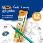 Карандаш чернографитный BIC. Evolution, НВ, шестигранный, пластиковый, зелёный корпус - Фото 1