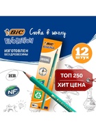 Карандаш чернографитный BIC. Evolution, НВ, шестигранный, пластиковый, зелёный корпус - Фото 1