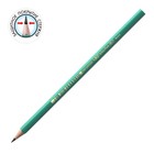 Карандаш чернографитный (простой) НВ, BIC Evolution, заточенный, пластик, без ластика, шестигранный, зелёный корпус - Фото 2