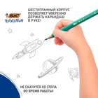 Карандаш чернографитный (простой) НВ, BIC Evolution, заточенный, пластик, без ластика, шестигранный, зелёный корпус - Фото 4