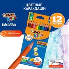 Карандаши 12 цветов BIC Kids Evolution ECOlutions, детские, ударопрочные, пластиковые - фото 297776072