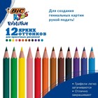 Карандаши 12 цветов BIC Kids Evolution ECOlutions, детские, ударопрочные, пластиковые - Фото 2