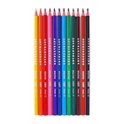 Карандаши цветные 12 цветов BIC Kids Evolution ECOlutions, детские, ударопрочные, пластиковые - Фото 8
