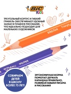 Карандаши цветные 12 цветов BIC Kids Evolution ECOlutions, детские, ударопрочные, пластиковые - Фото 3