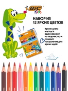 Карандаши цветные 12 цветов BIC Kids Evolution ECOlutions, детские, ударопрочные, пластиковые - Фото 4