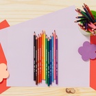 Карандаши цветные 12 цветов BIC Kids Evolution ECOlutions, детские, ударопрочные, пластиковые - Фото 11