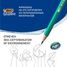 Карандаш чернографитный BIC. Evolution, НВ, c ластиком, шестигранный, пластиковый, зелёный корпус - Фото 7