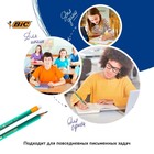 Карандаш чернографитный BIC. Evolution, НВ, c ластиком, шестигранный, пластиковый, зелёный корпус - Фото 8