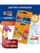 Карандаши цветные 12 цветов, детские, шестигранные, BIC Kids Tropicolors, пластиковые, ударопрочный грифель 3.2 мм, картонная упаковка - Фото 1