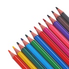 Карандаши цветные 12 цветов, детские, шестигранные, BIC Kids Tropicolors, пластиковые, ударопрочный грифель 3.2 мм, картонная упаковка - Фото 9