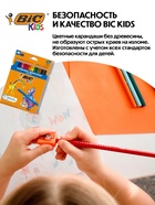 Цветные карандаши 18 цветов, детские, шестигранные, ударопрочные, BIC Kids Evolution - Фото 5