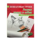 Пошаговые уроки рисования «Рисуем кошек и собак» - Фото 1