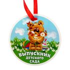 Портфолио, 24×31 см «Выпускник детского сада» - Фото 10