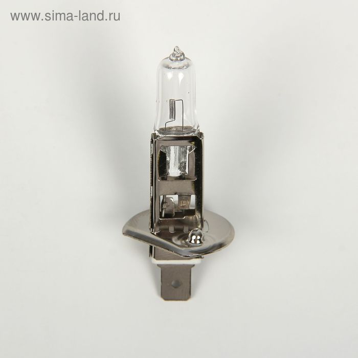 Галогенная лампа TORSO H1, 3300 K, 12 В, 55 Вт - Фото 1