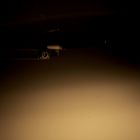 Светильник настольный на струбцине ГАВАНА (Е27, ЭСЛ, 20 Вт, 220 В) Серебро-сиреневый - Фото 2