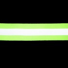 Светоотражающая лента-стропа, 40 мм, 5 ± 1 м, цвет салатовый - Фото 4