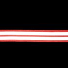 Лента с двумя светоотражающими полосами, ширина-20мм, 5±1м, цвет красный - Фото 2