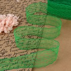 Кружево капроновое, 45 мм × 8.5 ± 1 м, цвет зелёный - Фото 1