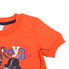 Комплект для мальчика (футболка, шорты), рост 116 см (60), цвет оранжевый/тёмно-серый (арт. CAK 9496) - Фото 3