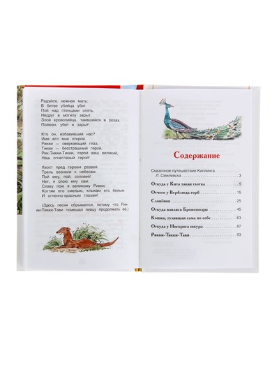 Книга для внеклассного чтения «Сказки», Киплинг Р.