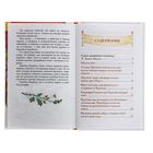 Книга «Золотой ключик, или Приключения Буратино», Толстой А. Н. - Фото 5