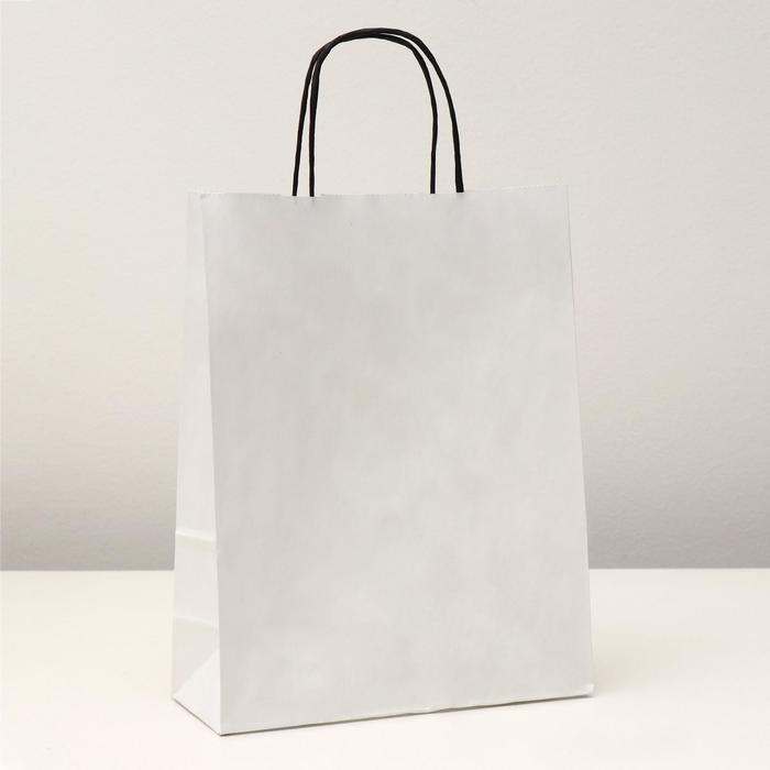 Пакет крафт, белый, 25 х 11 х 32 см, чёрная ручка - Фото 1