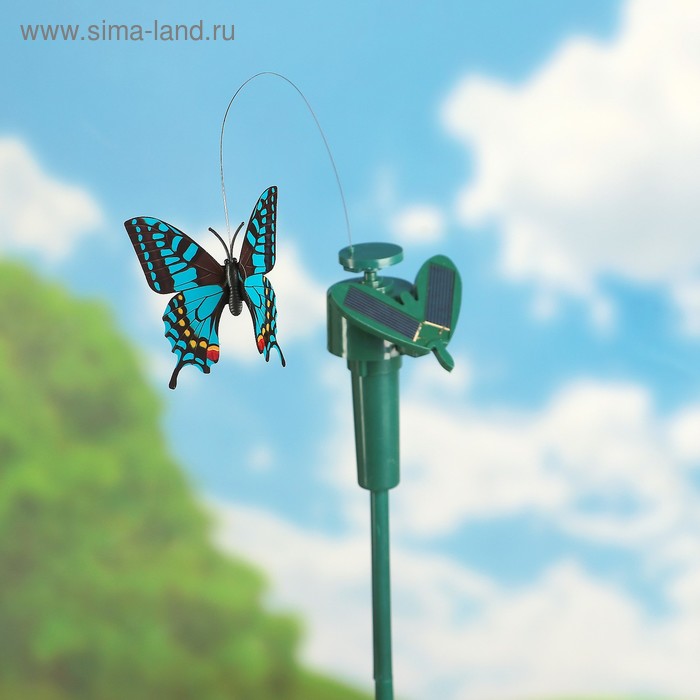 Штекер "Бабочки", 8х59см, цвет микс - Фото 1