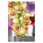 Фотообои К-015 «Триптих №2» (4 листа), 98 × 140 см - Фото 1