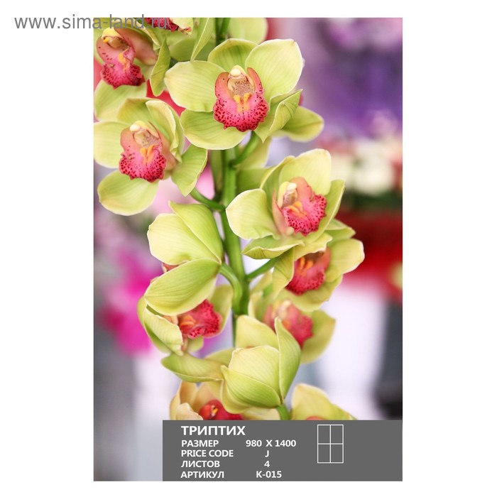 Фотообои К-015 «Триптих №2» (4 листа), 98 × 140 см - Фото 1