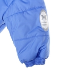Комплект ясельный (куртка+полукомбинезон), рост 74 см, цвет синий - Фото 7