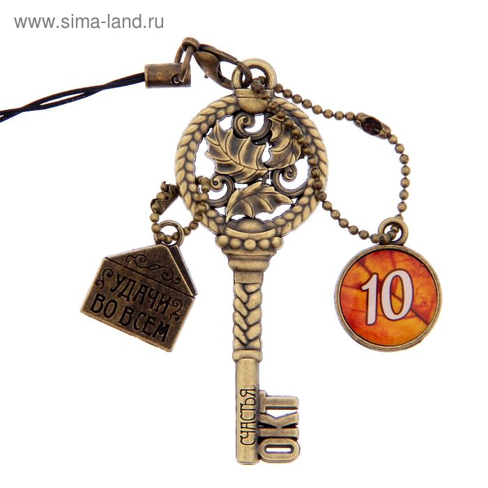 Ключ сувенирный "10 Октября", серия 365 дней - Фото 1