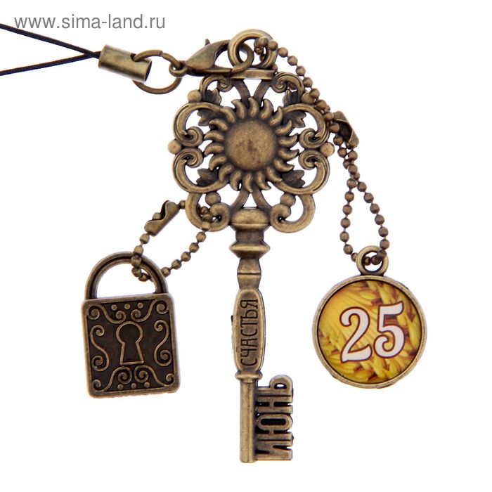 Ключ сувенирный "25 Июня", серия 365 дней - Фото 1