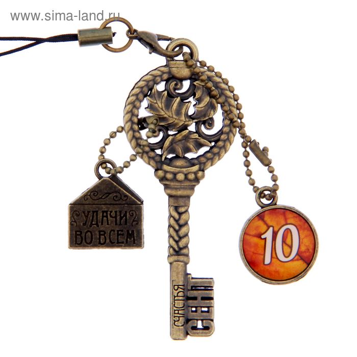 Ключ сувенирный "10 Сентября", серия 365 дней - Фото 1