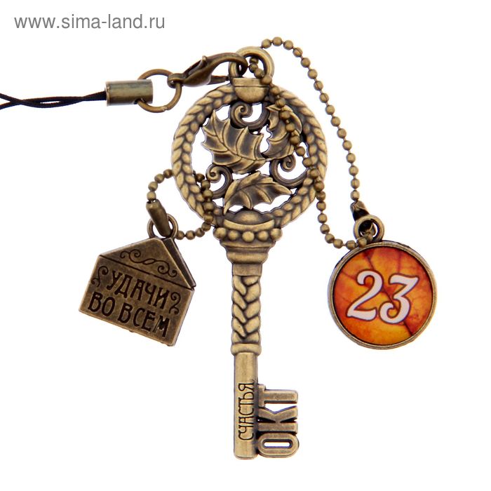 Ключ сувенирный "23 Октября", серия 365 дней - Фото 1