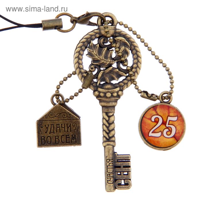 Ключ сувенирный "25 Сентября", серия 365 дней - Фото 1