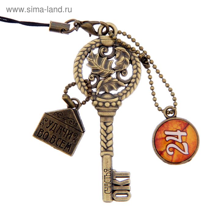 Ключ сувенирный "24 Октября", серия 365 дней - Фото 1