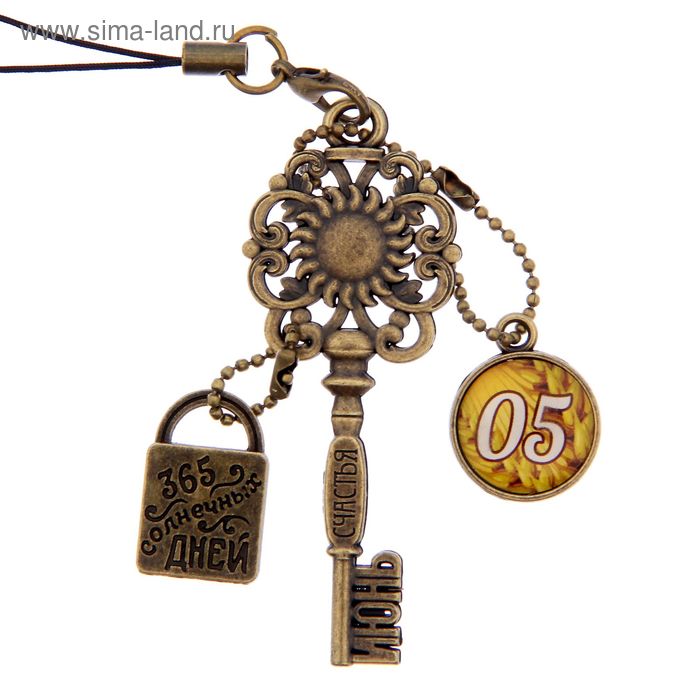 Ключ сувенирный "5 Июня", серия 365 дней - Фото 1