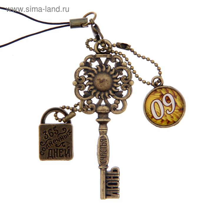 Ключ сувенирный "9 Июня", серия 365 дней - Фото 1