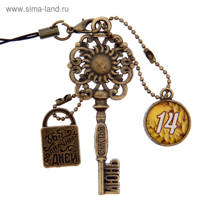Ключ сувенирный "14 Июня", серия 365 дней - Фото 1