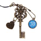 Ключ сувенирный "30 Января", серия 365 дней - Фото 1